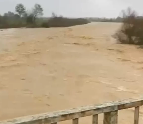 Sakarya’da çiftçilerin emeği sulara gömüldü!