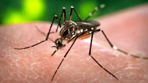 Bangladeş'te dang humması alarmı