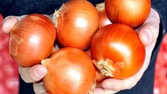 Göz yakmayan soğan! Sunion mutfakta devrim yaratıyor