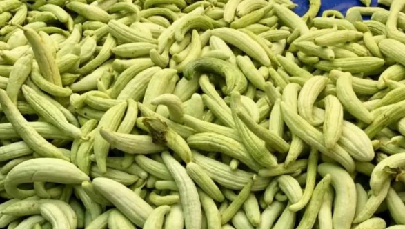 Faydasını duyan pazara koşuyor