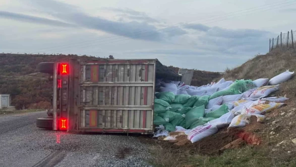 Gördes'te yem yüklü tır devrildi: 1 yaralı