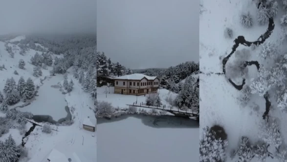 Erzincan’daki Dumanlı Tabiat Parkı karla kaplandı