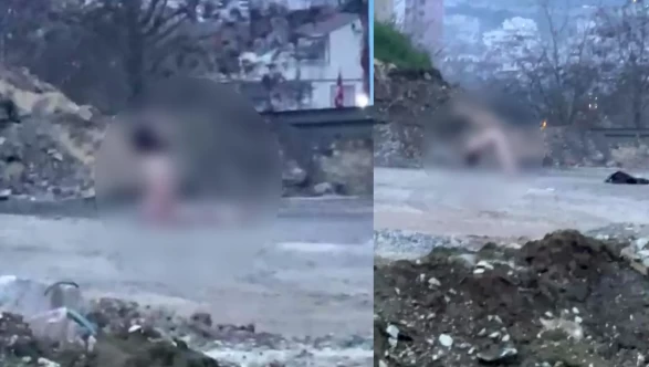 Köprü altında akıllara durgunluk veren görüntüler!