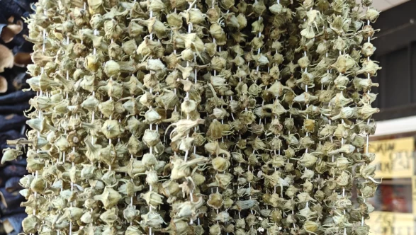 Çiçek bamya cep yakıyor! Ramazan ayının en pahalı lezzeti belli oldu