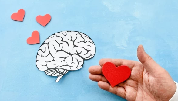 Polifenollerin ve flavonoidlerin gücü