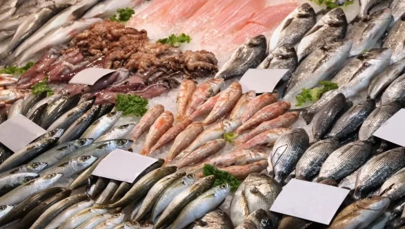 Su ürünleri sektörü 2026 hedefini büyütüyor!