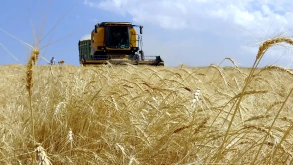 Bakan Yumaklı müjdeyi verdi: Tarımsal destekleme ödemesi bugün yapılacak