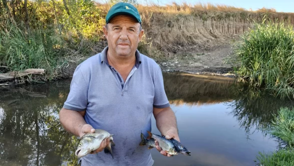 Tekirdağ’da derede binlerce balık öldü: İnceleme başlatıldı