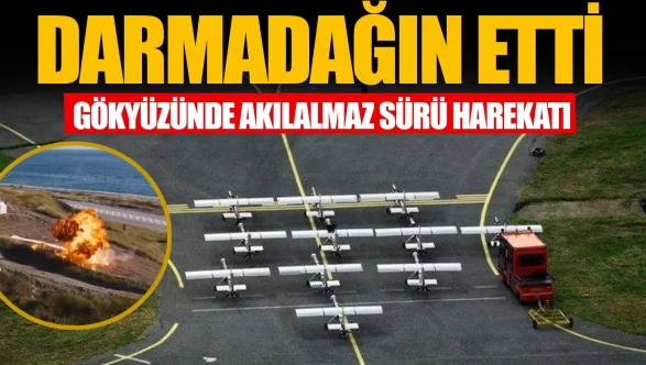 SİVRİSİNEK hedefleri darmadağın etti