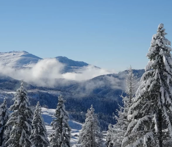 Ordu'nun Çambaşı Yaylası beyaza büründü