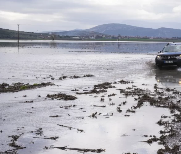 Tarlalar sular altında kaldı, çiftçi bayram etti!