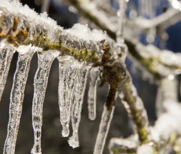 İşte bölge bölge son dakika tahminleri