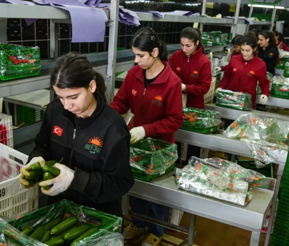 Rusya'nın sebze rotası değişti! İran’daki kriz Türkiye ihracatını artırdı