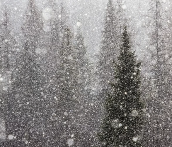 Hangi bölgede yağmur, nerede kar var? İşte il il hava durumu