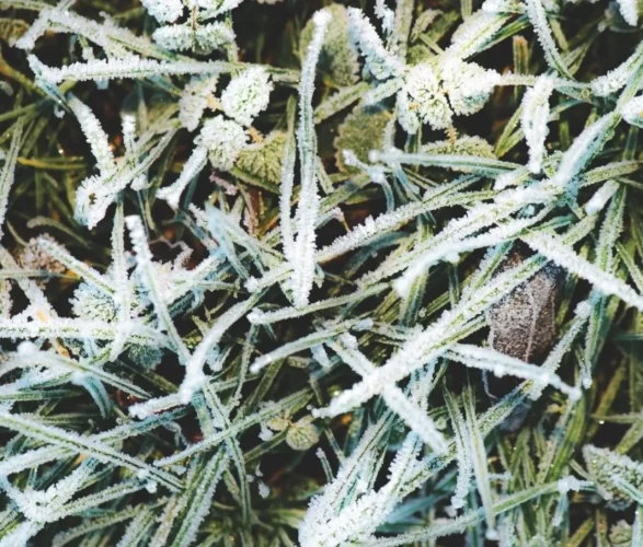 Marmara’da sis, Doğu Anadolu’da don ve çığ tehlikesi