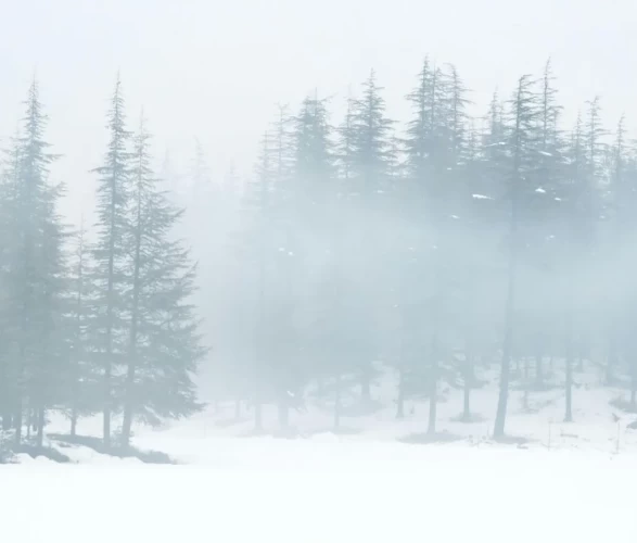 Doğu’da dondurucu soğuk, batıda bahar güneşi