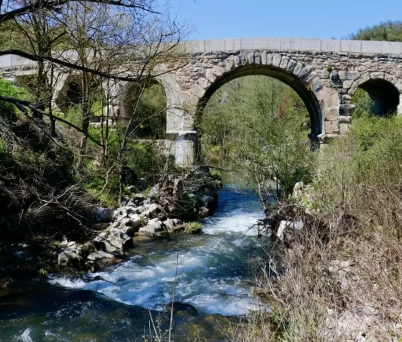 Kocaeli'de masalsı yolculuk! Eski İstanbul Yolu çiçek açtı: Şehrin gürültüsünden kaçmak isteyenlerin yeni gözdesi!