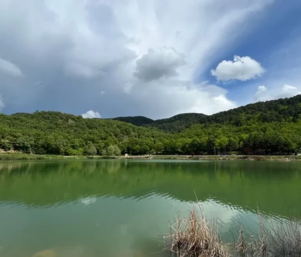Ormanın kalbindeki 'saklı cennet' ziyaretçi akınına uğruyor!