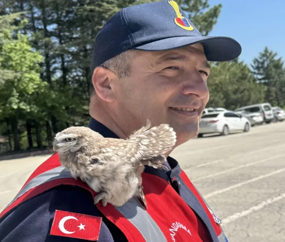 Yozgat’ta yürek ısıtan anlar: Cezaevi çatısından düşen baykuş kurtarıldı