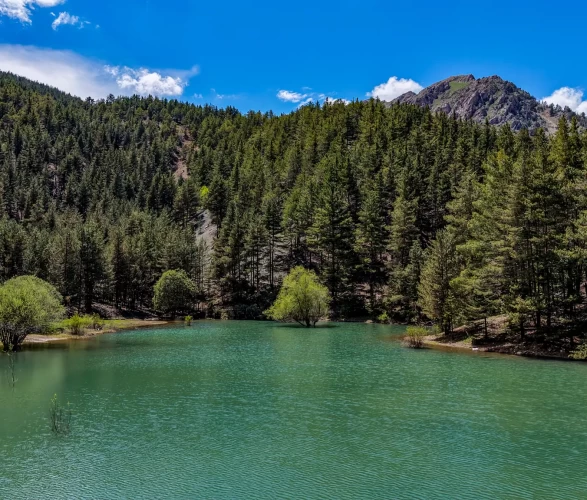 Erzurum'un saklı cenneti: Bu gölü gören hayran kalıyor
