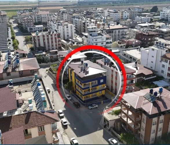 Reyhanlı'daki Fenerbahçeli ev görenleri şaşırtıyor