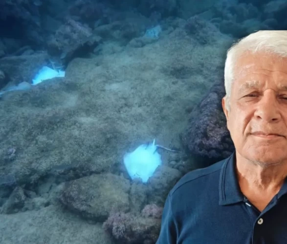 Antalya falezlerinde korkutan manzara: Onlarca ölü vatoz balığı kıyıya vurdu!