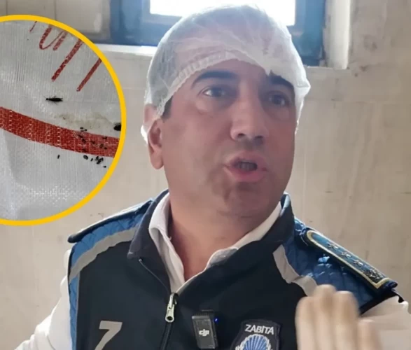 Hatay’da fırında mide bulandıran görüntü!