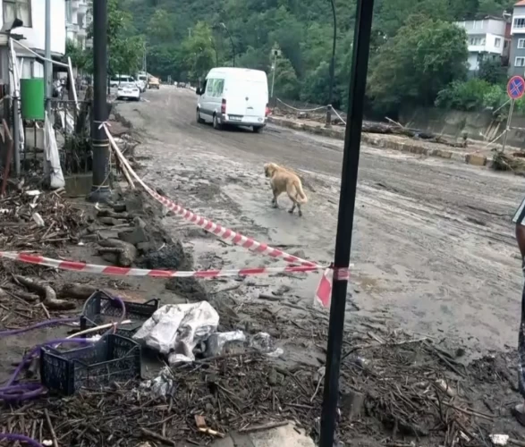 Giresun’da şiddetli yağış sonrası taşkın!