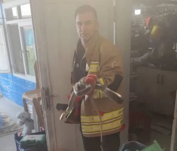 Havalar ısındı, yılanlar ortaya çıktı!