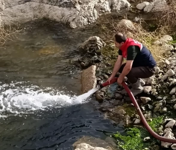 Nehil Sazlığı’nda kuraklık alarmı
