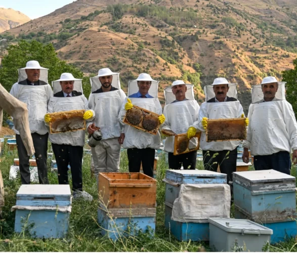 Van’da 2 bin 700 metre rakımda bal hasadı başladı