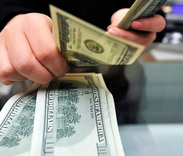 Dolar ve avro güne yükselişle başladı