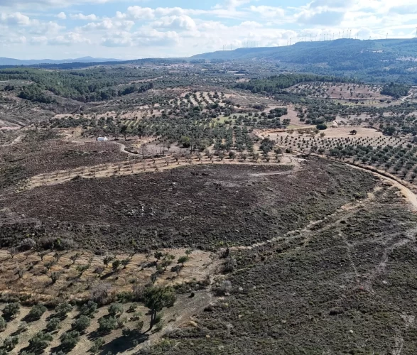 Çanakkale'deki dev orman yangını sonrası yeşeren alanlar havadan görüntülendi