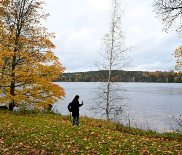 Tampere kent sakinleri bu manzaranın tadını çıkarıyor