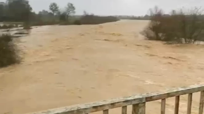 Sakarya’da çiftçilerin emeği sulara gömüldü!