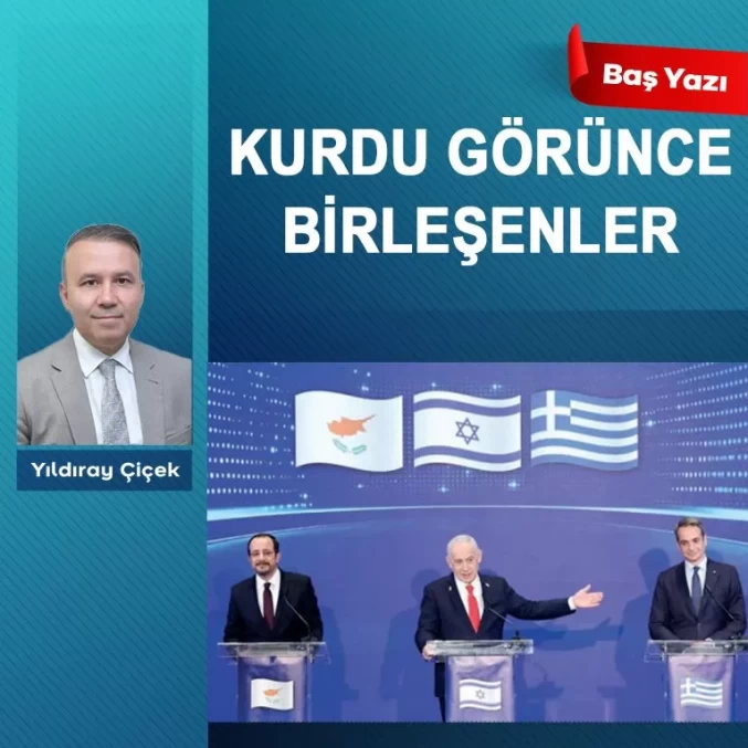 Kurdu görünce birleşenler