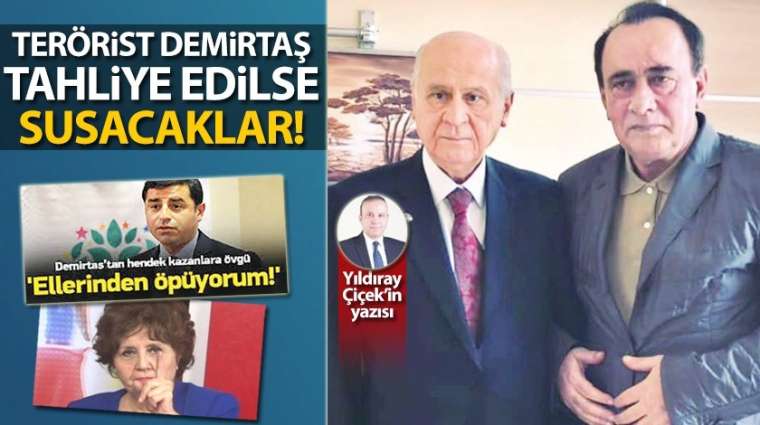 Terörist Demirtaş tahliye edilse susacaklar!
