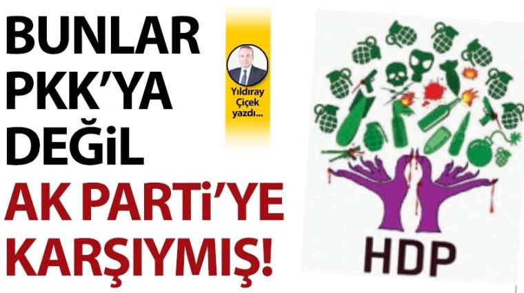 Bunlar PKK'ya değil, AK Parti'ye karşıymış!