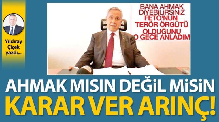 Ahmak mısın değil misin karar ver Arınç!