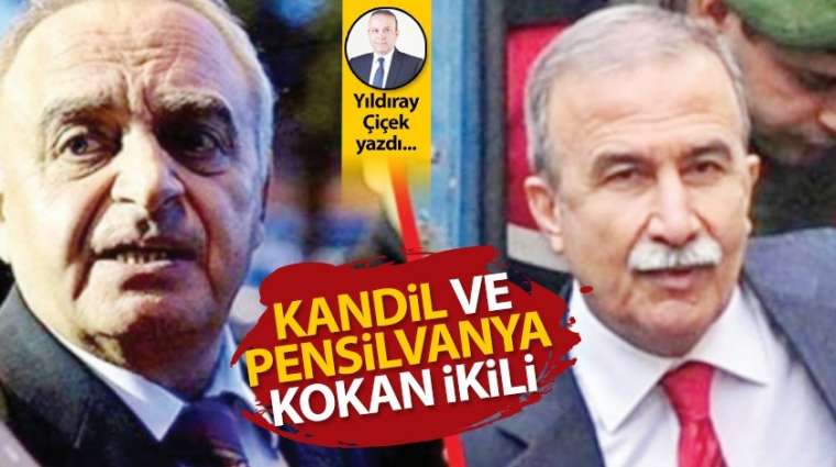 Kandil ve Pensilvanya kokan ikili