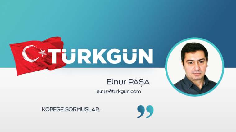 Köpeğe sormuşlar…