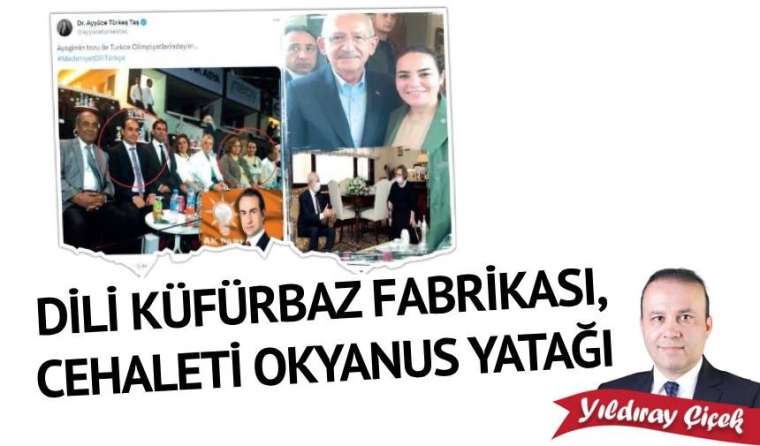 Dili küfürbaz fabrikası, cehaleti okyanus yatağı
