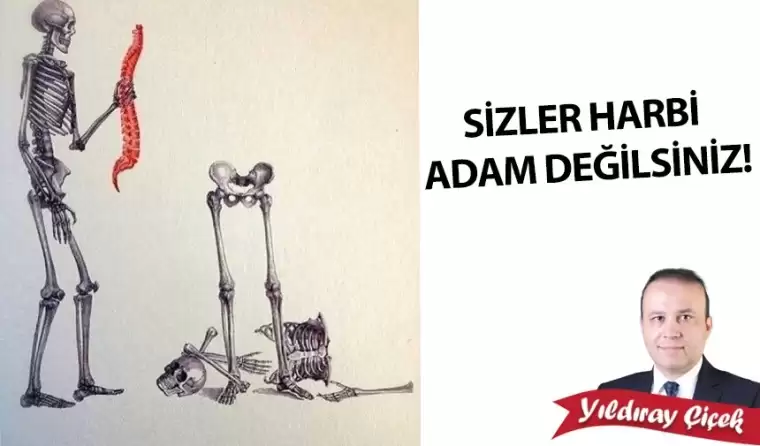 Sizler harbi adam değilsiniz!