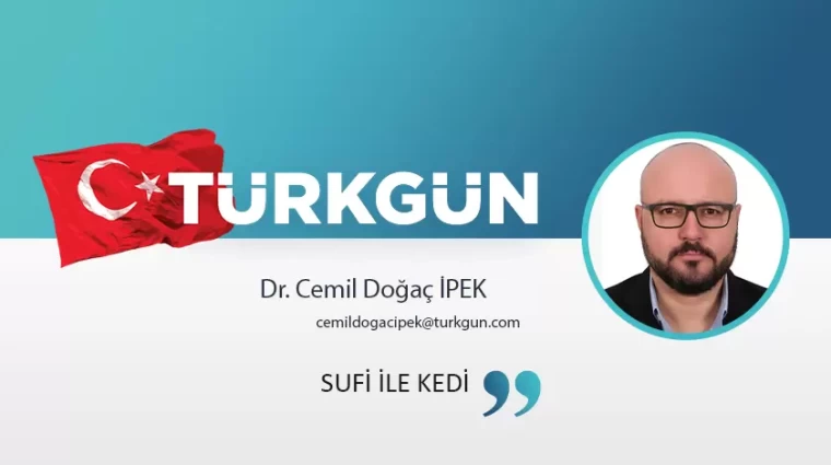 Sufi ile kedi