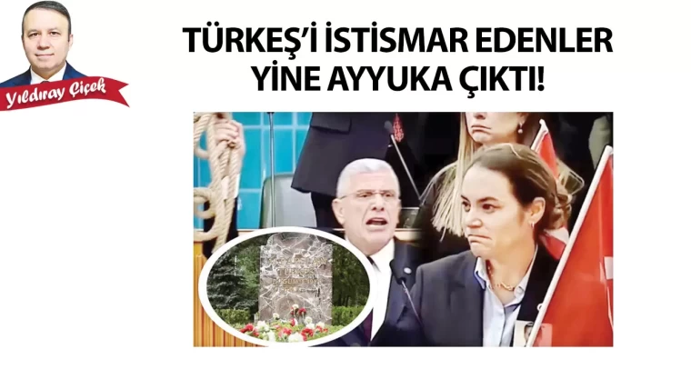 Türkeş’i istismar edenler yine ayyuka çıktı!