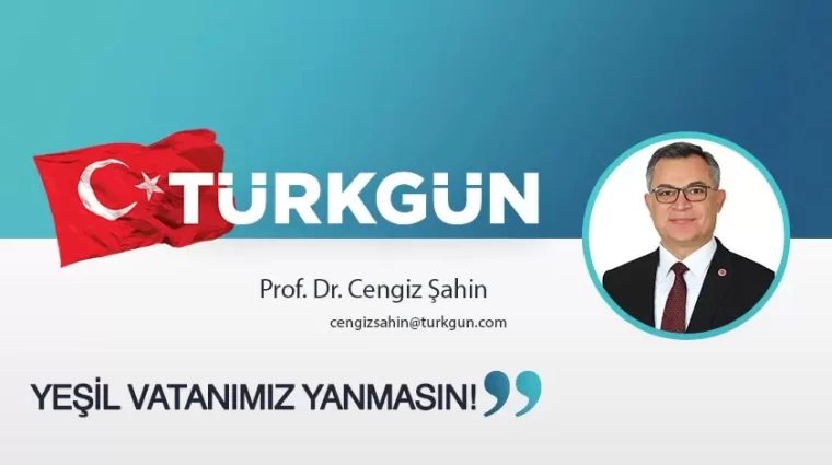 Yeşil vatanımız yanmasın!