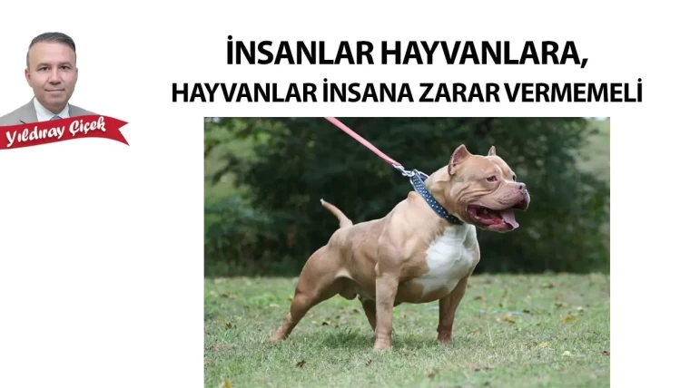 İnsanlar hayvanlara, hayvanlar insana zarar vermemeli