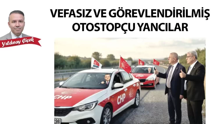 Vefasız ve görevlendirilmiş otostopçu yancılar