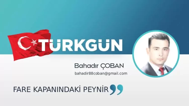 Fare kapanındaki peynir