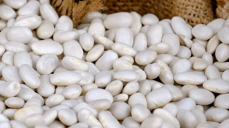 "Kuru fasulye krizi" iddialarına yalanlama